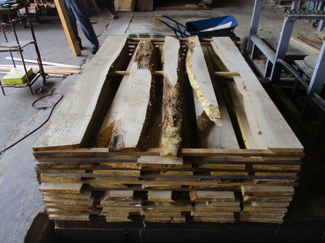 椎（シイ）　無垢材