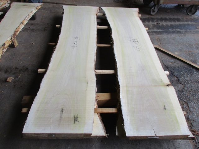 朴（ホオ）　無垢材