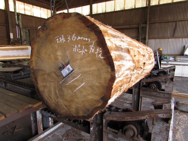 楢（ナラ）　無垢材