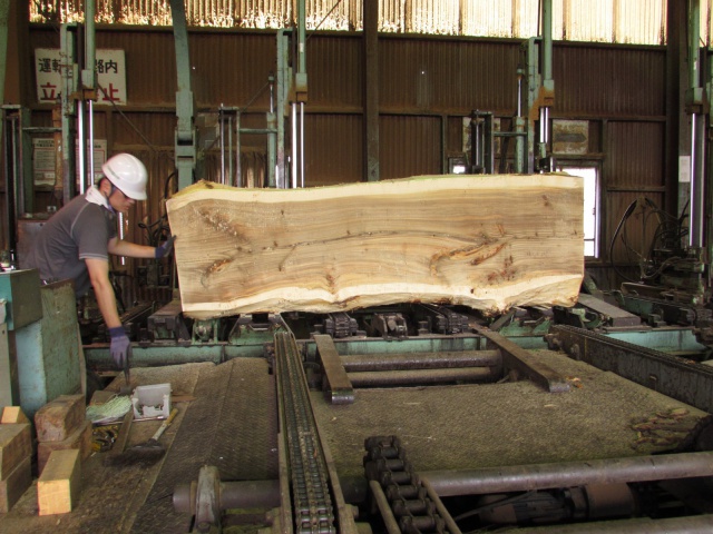 ポプラ（セイヨウポプラ）　無垢材