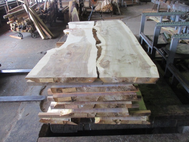 ポプラ（セイヨウポプラ）　無垢材