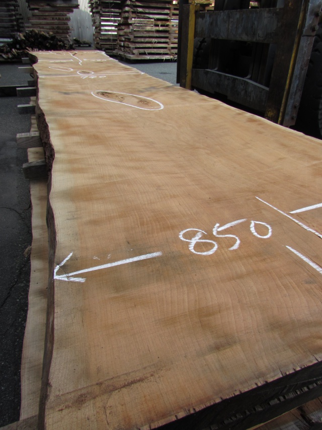 チェリー　一枚板