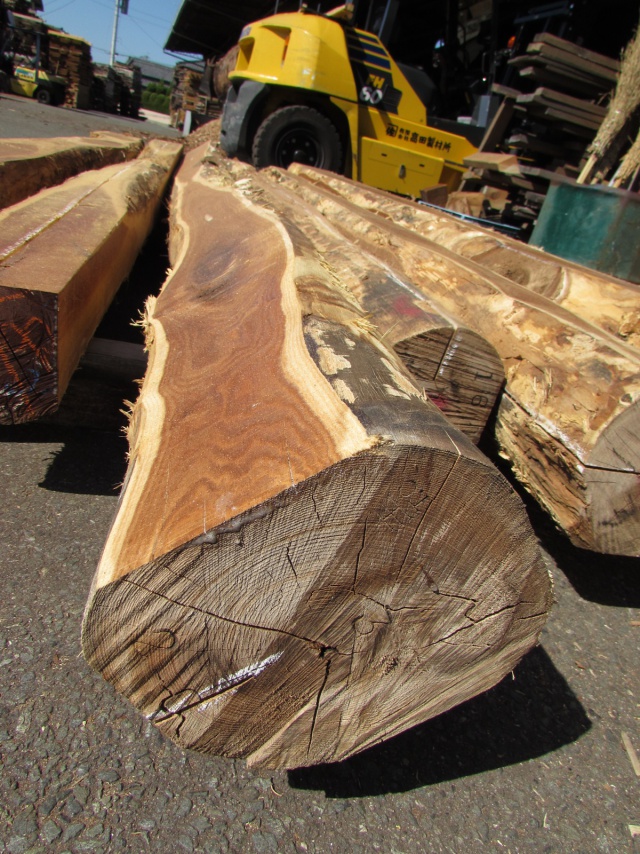 槐（エンジュ）　無垢材