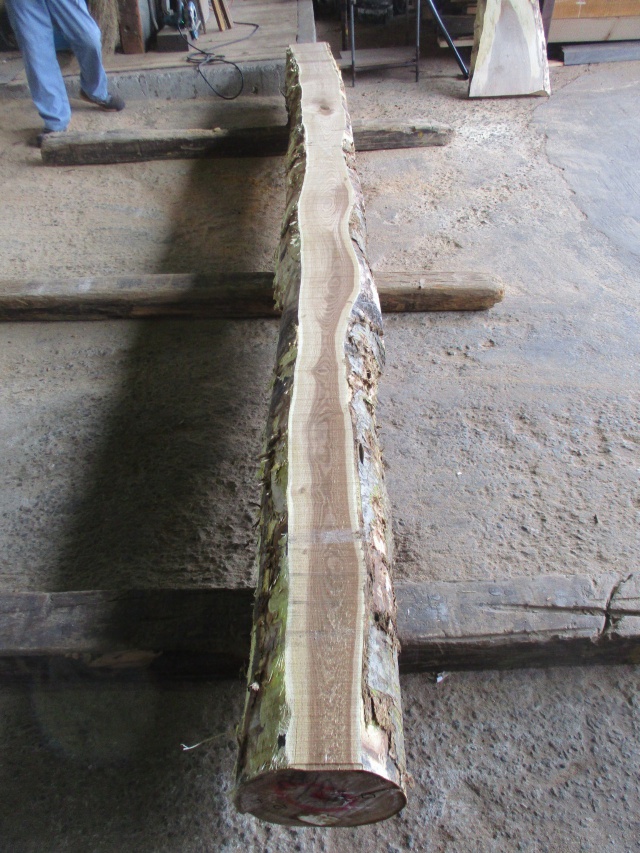 槐（エンジュ）　無垢材