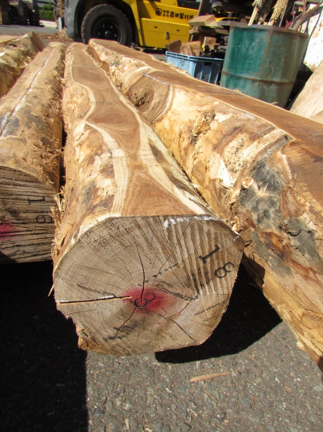 槐（エンジュ）　無垢材