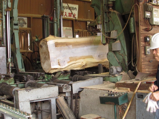 ポプラ（セイヨウポプラ）　無垢材