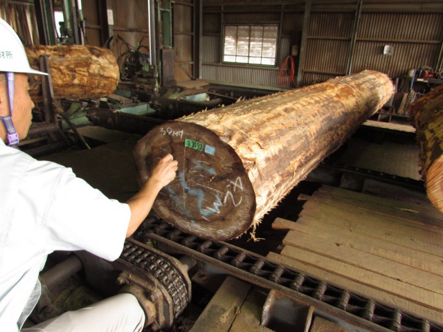 米栂（ベイツガ）　無垢材