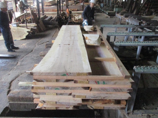 目白樺（メジロカバ）　無垢材