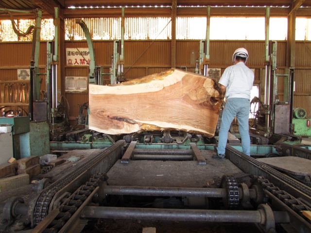樺（カバ）　無垢材