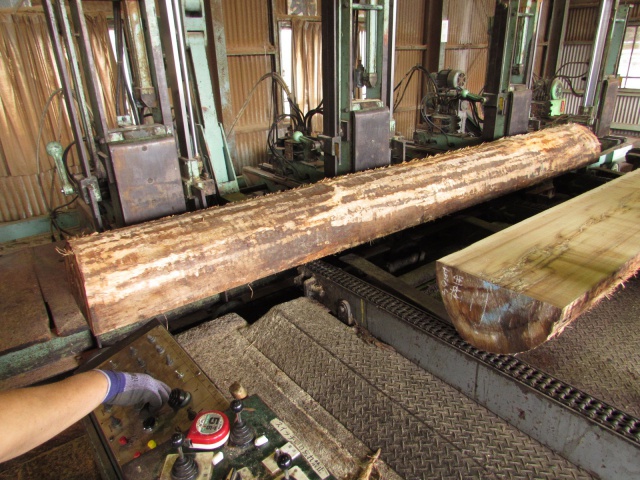 米栂（ベイツガ）　無垢材