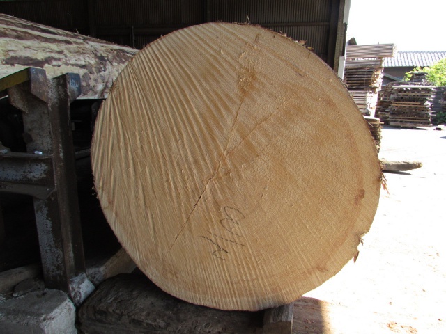 米栂（ベイツガ）　無垢材