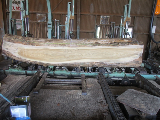 栓（セン）　無垢材