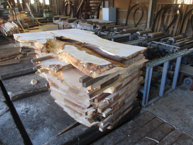 樺（カバ）　無垢材