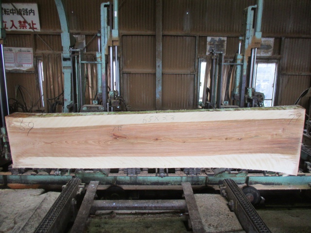 目白樺（メジロカバ）　無垢材