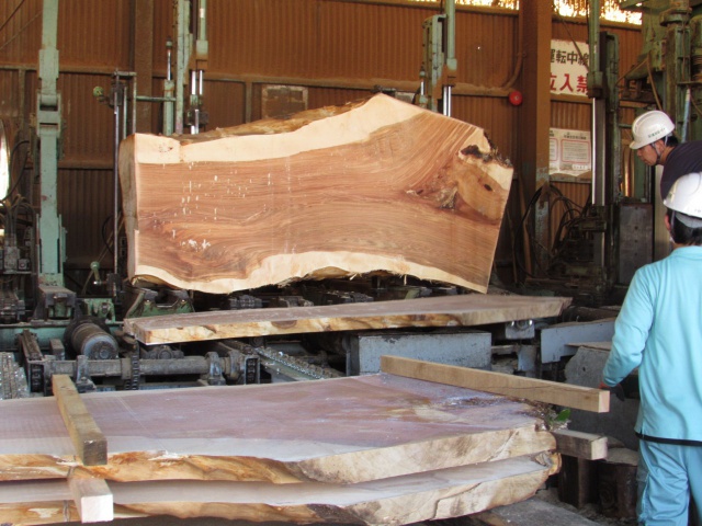 樺（カバ）　無垢材