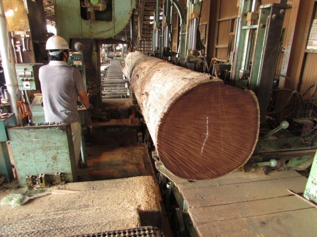 ウエンジ　無垢材