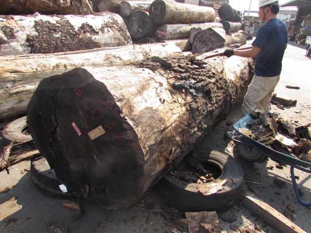 ウォールナット　無垢材