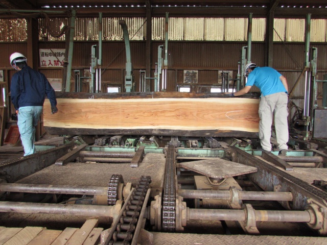 チェリー　無垢材