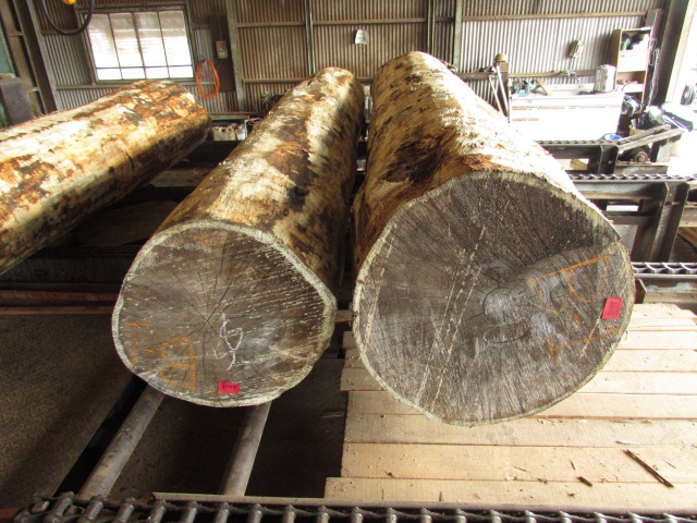 森の文庫本　木材