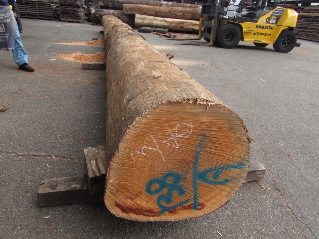 ペンシルシダー 無垢材