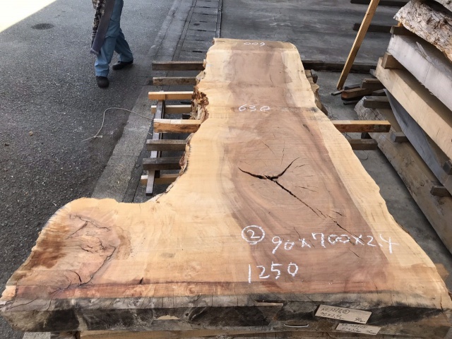 栃（トチ）　一枚板