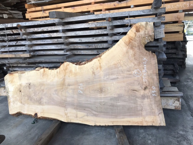 栃（トチ）　一枚板