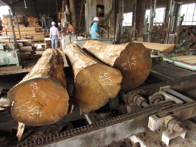 栗（クリ）　無垢材