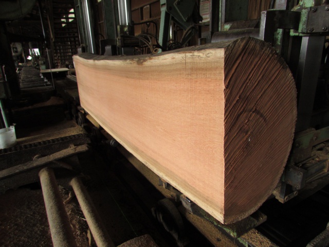 ケンパス 無垢材