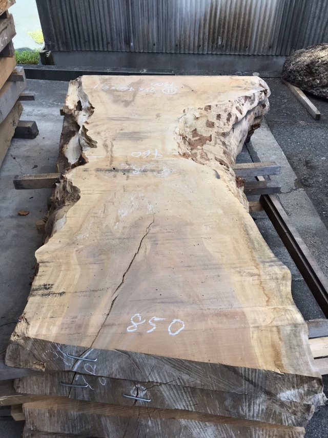 栃（トチ）　一枚板