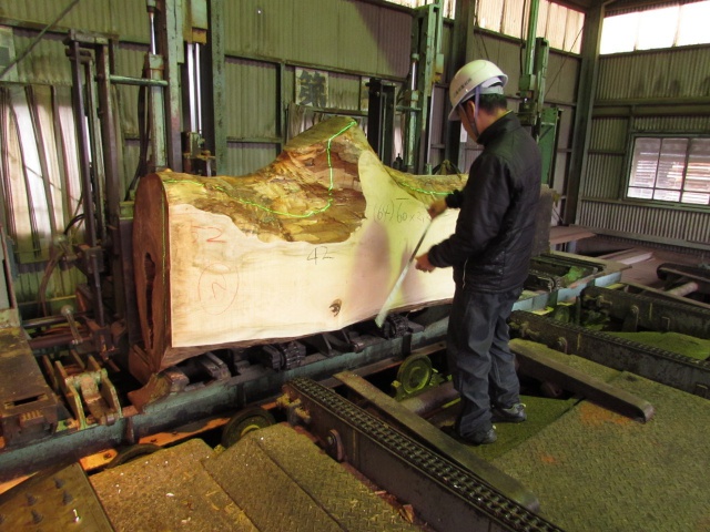 栃（トチ）　無垢材