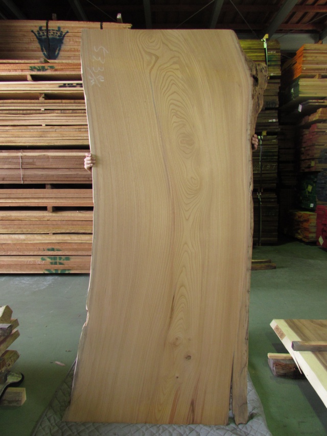 欅(ケヤキ) 一枚板