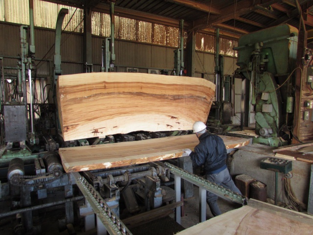 栃（トチ）　無垢材