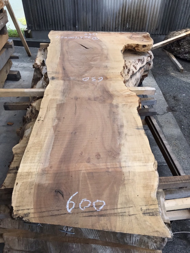 栃(トチ) 一枚板