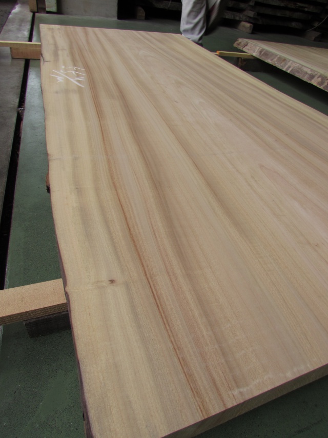 楠(クス) 一枚板