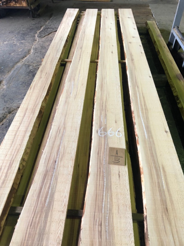 バルサム　無垢材