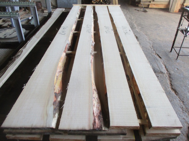 スプルース　無垢材