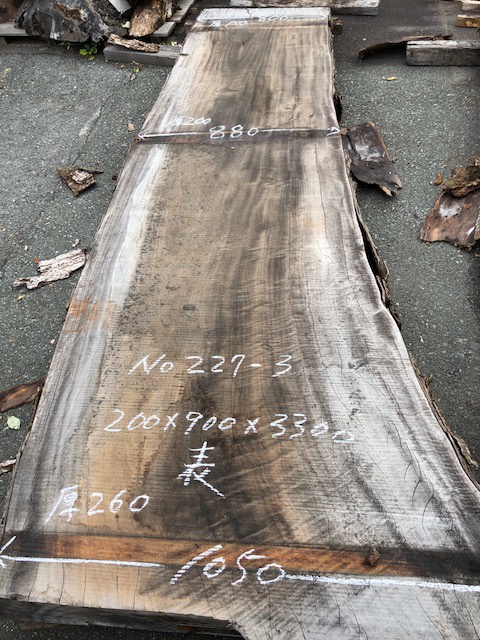 楠（クス）　一枚板