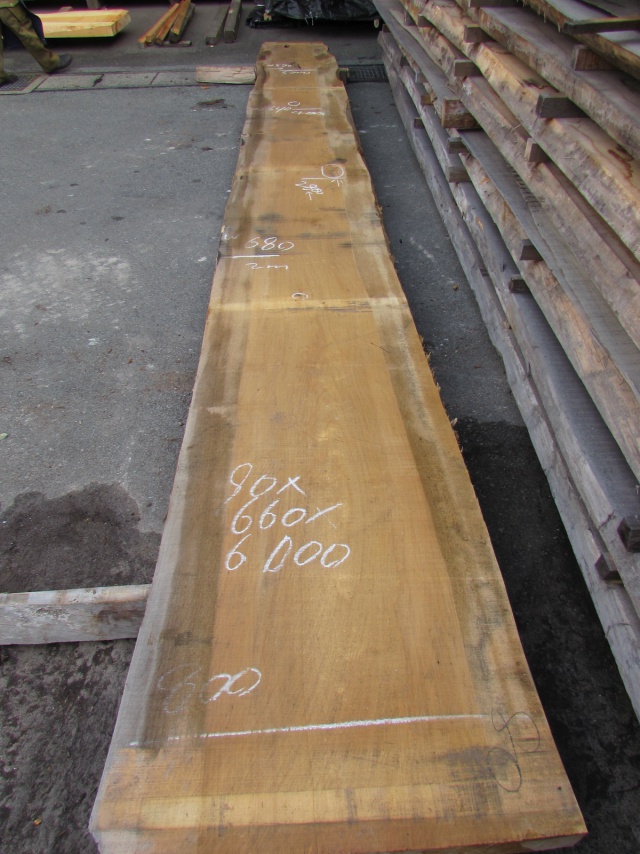 銀杏（イチョウ）　一枚板