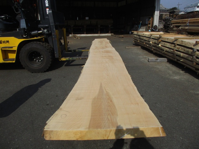 銀杏（イチョウ）　一枚板