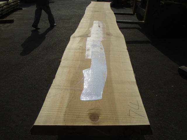 銀杏（イチョウ）　一枚板