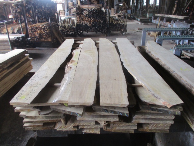 椎（シイ）　無垢材