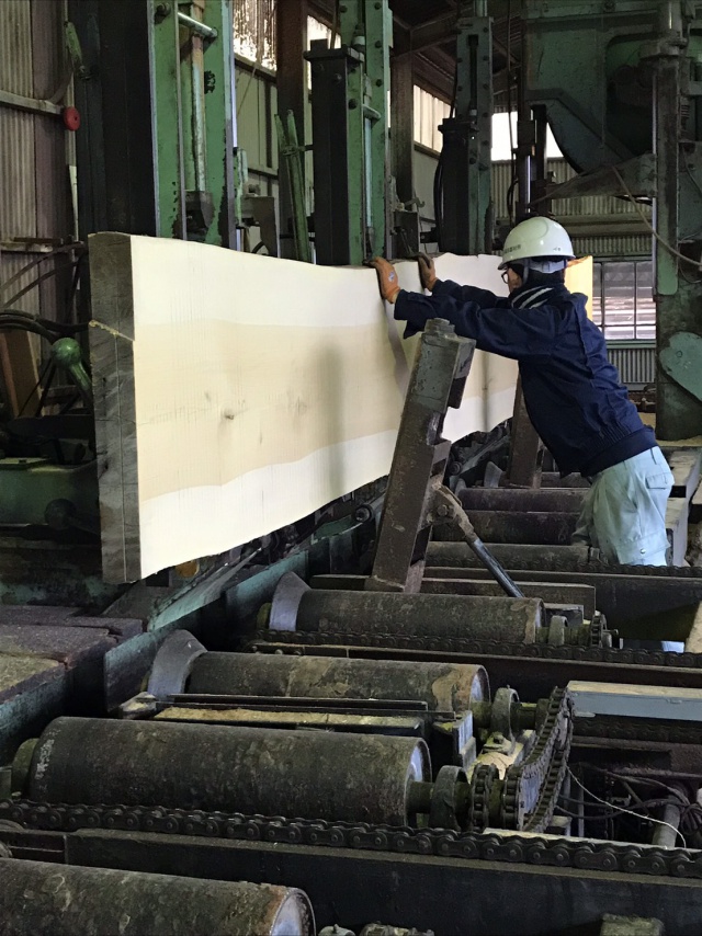 銀杏（イチョウ）　一枚板