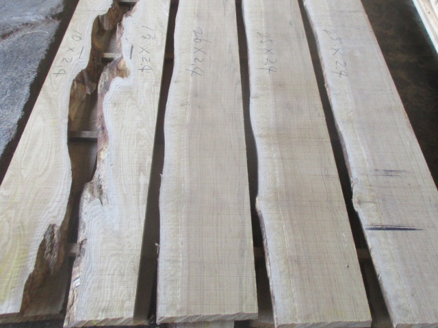 椎（シイ）　無垢材