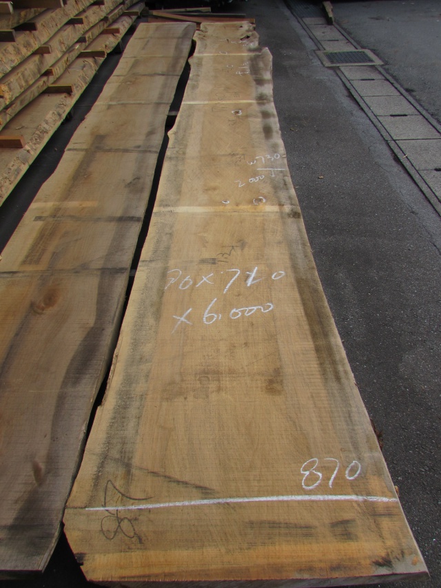 銀杏（イチョウ）　一枚板