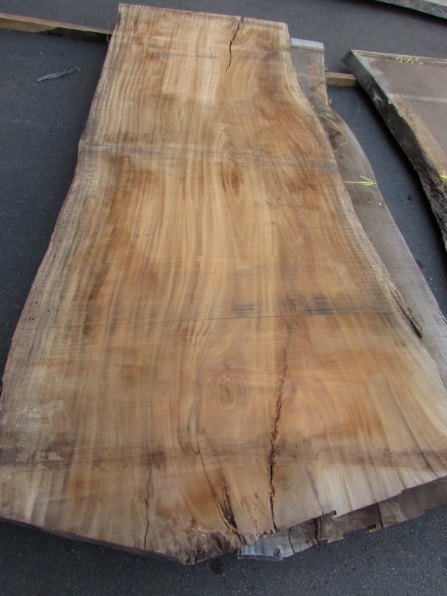 モンキーポッド 一枚板