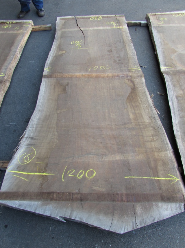 モンキーポッド 一枚板