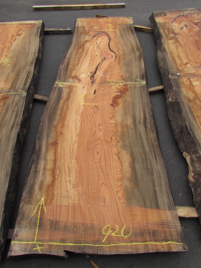 欅(ケヤキ) 一枚板