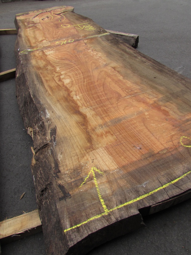 欅(ケヤキ) 一枚板