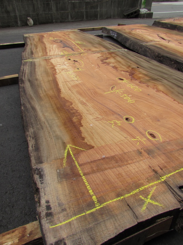 欅(ケヤキ) 一枚板