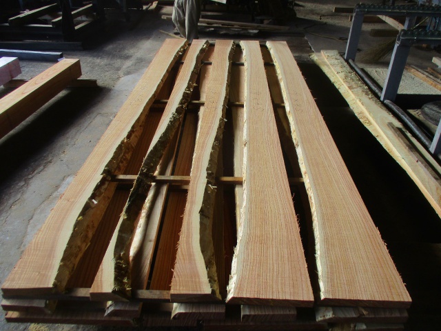 栴檀(センダン) 無垢材